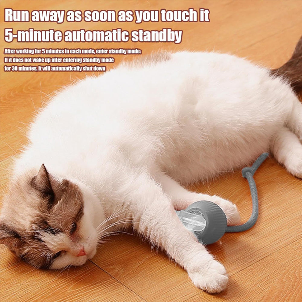 Interactive Electric Cat Ball Toy – Self-Rolling Motion Toy for Cats & Dogs