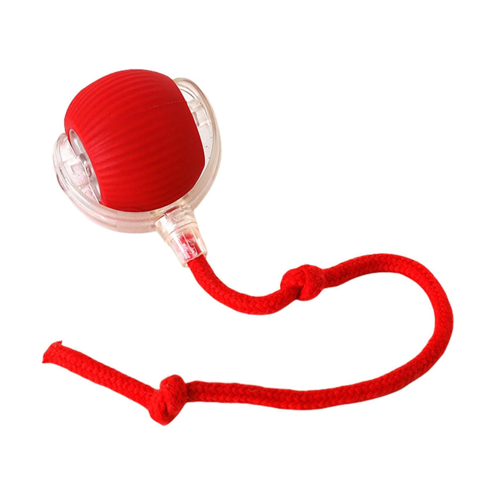 Interactive Electric Cat Ball Toy – Self-Rolling Motion Toy for Cats & Dogs