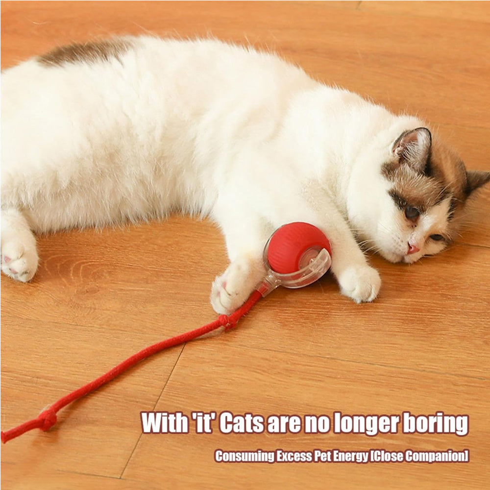 Interactive Electric Cat Ball Toy – Self-Rolling Motion Toy for Cats & Dogs